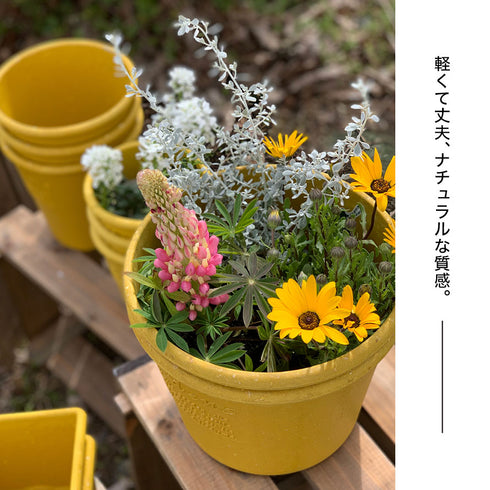 gardens パピエ エコポット浅型 6号.|s3